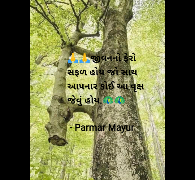 Gujarati Thought by Parmar Mayur : 111977914