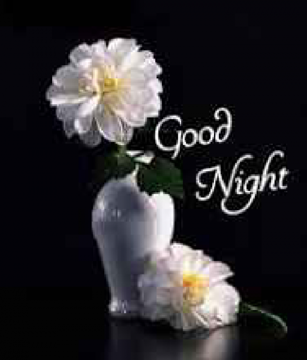 English Good Night by kattupaya s : 111977927