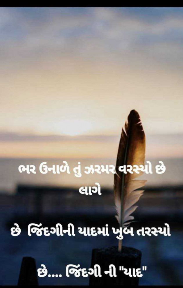 Gujarati Whatsapp-Status by Ajit : 111978004