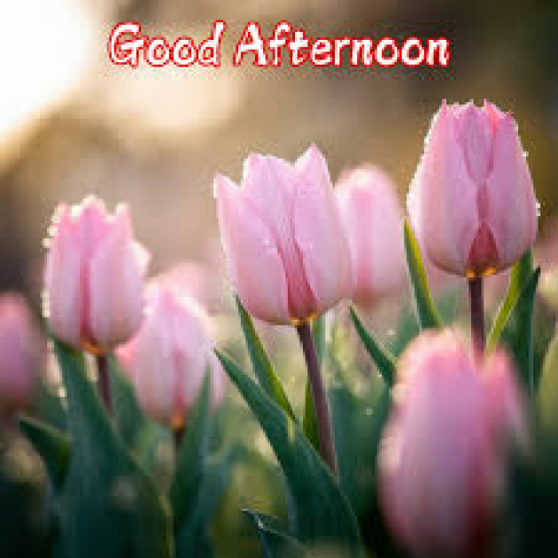 English Quotes by kattupaya s : 111978012