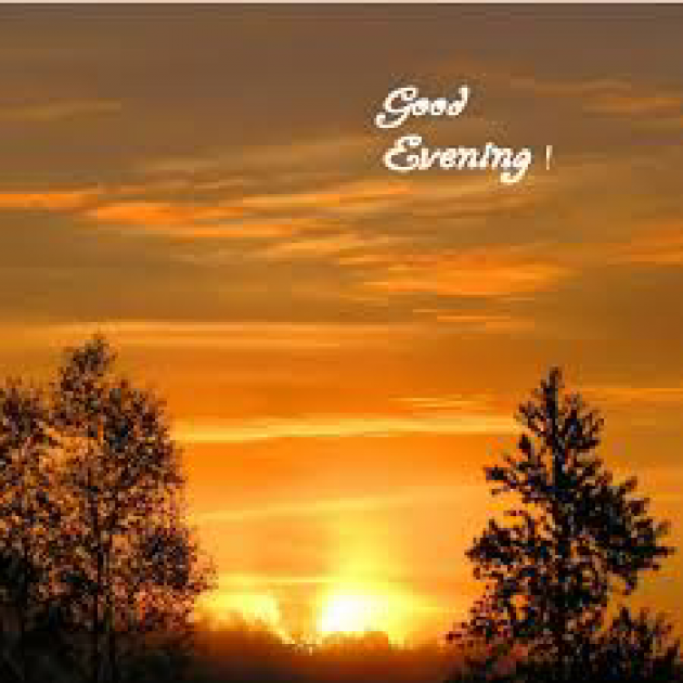 English Good Evening by kattupaya s : 111978027