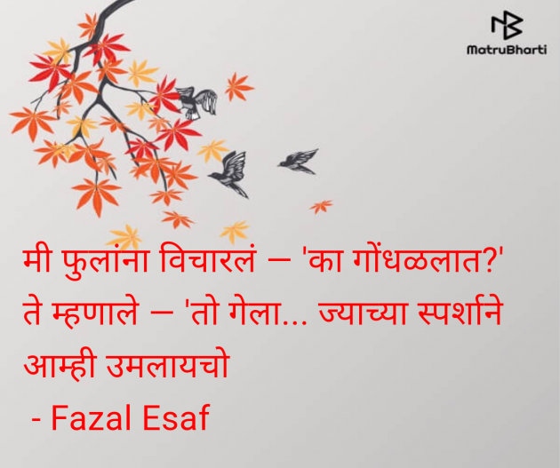 Marathi Quotes by Fazal Esaf : 111978100