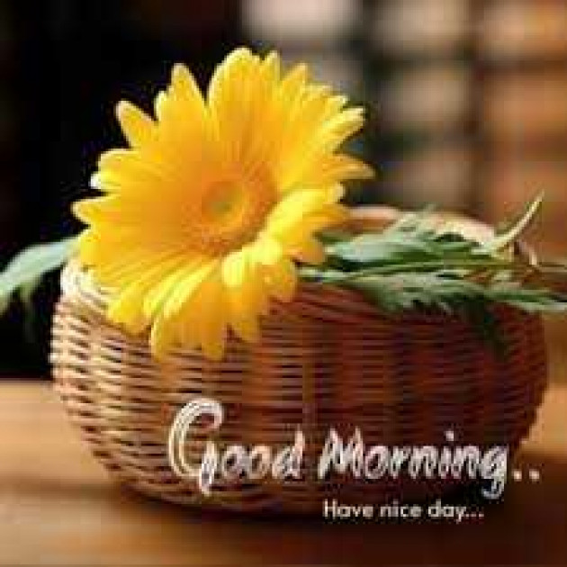 English Good Morning by kattupaya s : 111978213