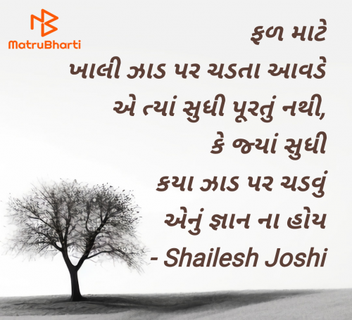 Post by Shailesh Joshi on 09-May-2025 11:33am