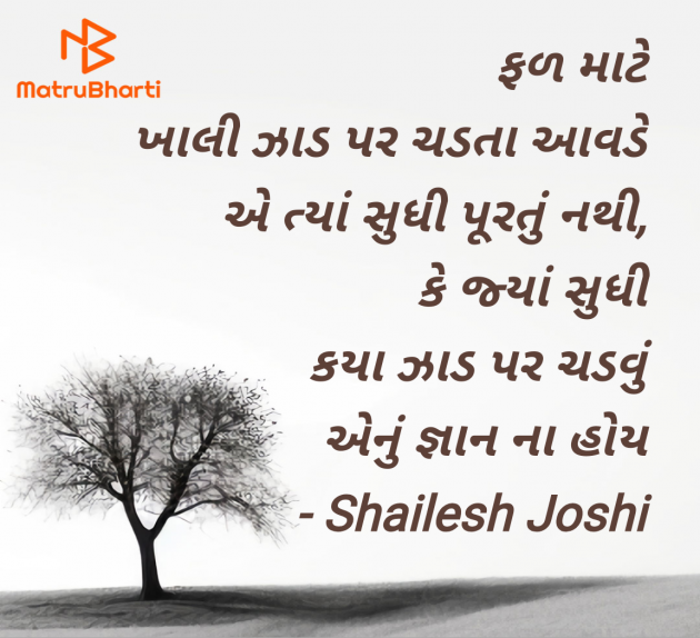 Gujarati Thought by Shailesh Joshi : 111978239