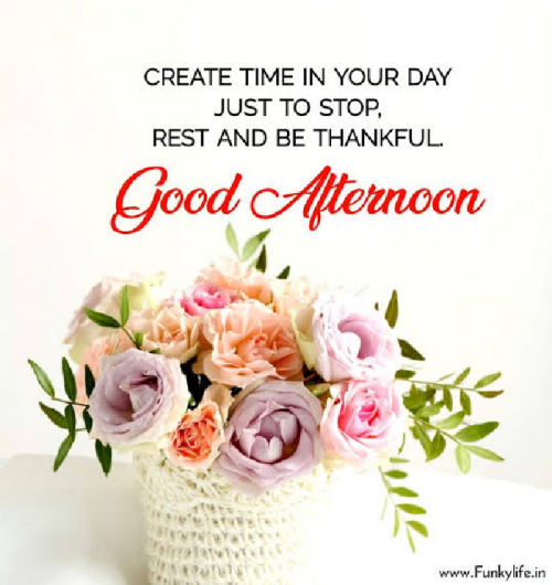 Post by kattupaya s on 09-May-2025 11:59am
