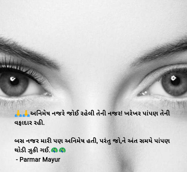 Gujarati Romance by Parmar Mayur : 111978252