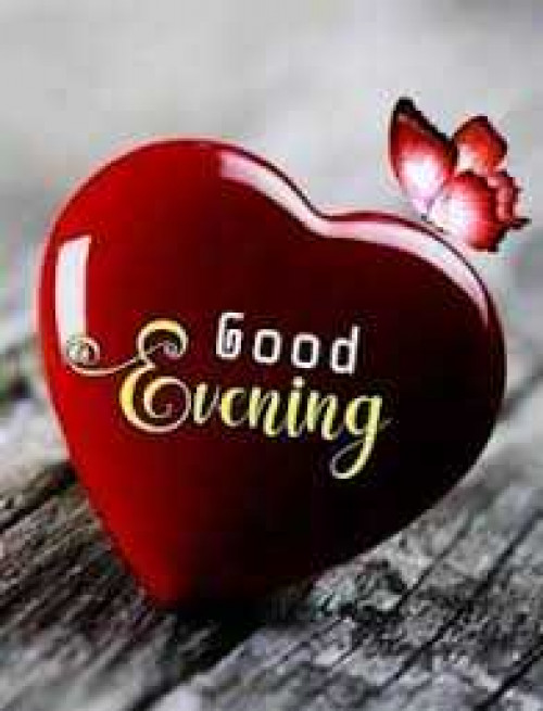 Post by kattupaya s on 09-May-2025 05:08pm