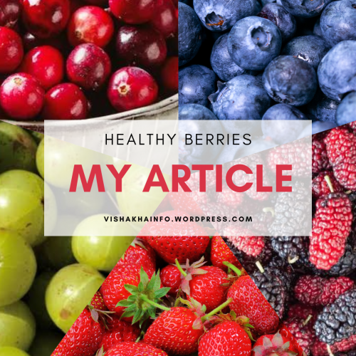 Post by Vishakha Mothiya on 10-May-2025 06:40pm