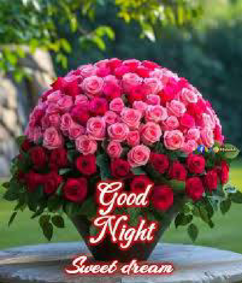 Post by kattupaya s on 10-May-2025 08:50pm