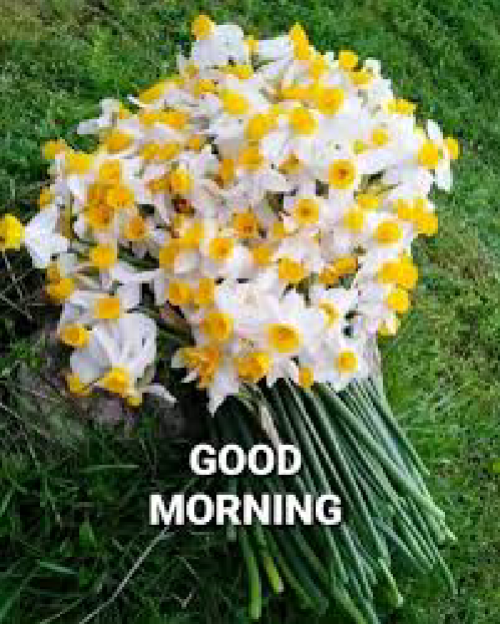 Post by kattupaya s on 11-May-2025 07:33am