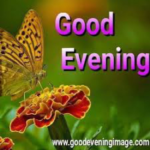 Post by kattupaya s on 11-May-2025 05:23pm