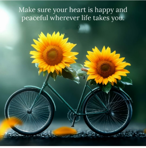 Post by Dr. Bhairavsinh Raol on 11-May-2025 05:42pm