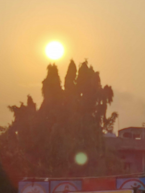 Post by Maya Hanchate on 12-May-2025 10:55am