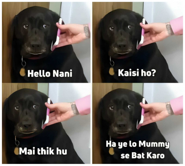 Hindi Funny by Rohan Beniwal : 111978658
