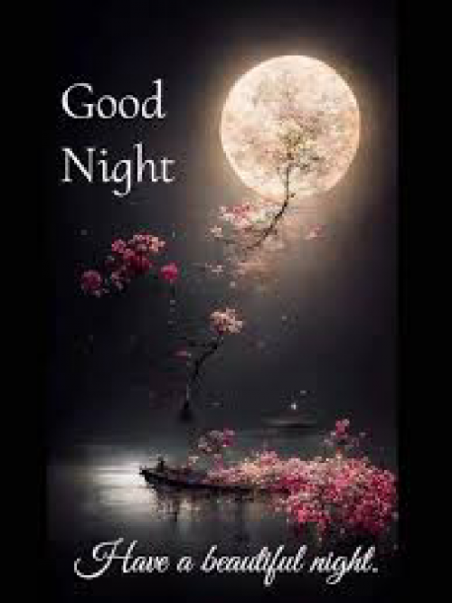 Post by kattupaya s on 12-May-2025 08:34pm
