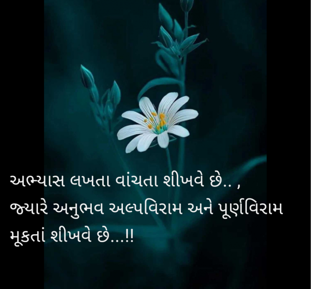 Gujarati Quotes by Tr. RAJ KHARA : 111978825