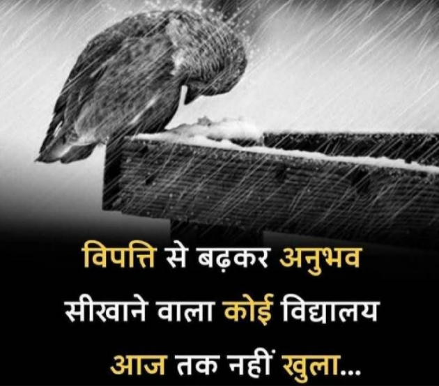 Gujarati Motivational by Gautam Patel : 111978861