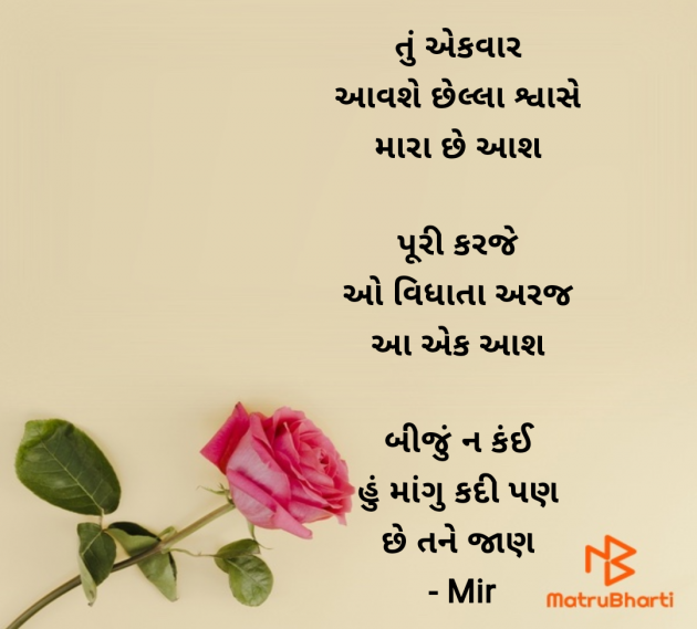 Gujarati Hiku by Mir : 111978907