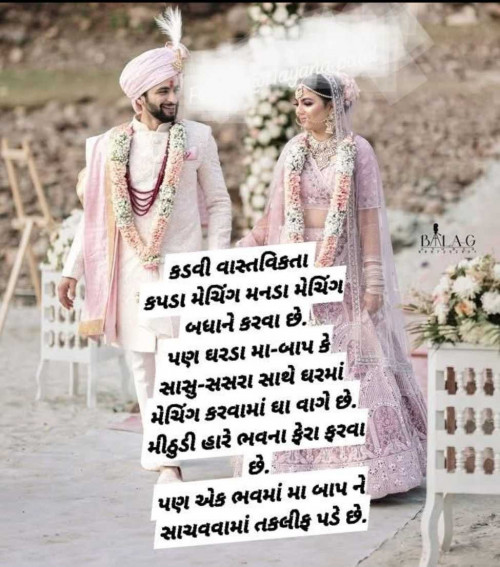 Post by Dipika on 14-May-2025 12:24pm