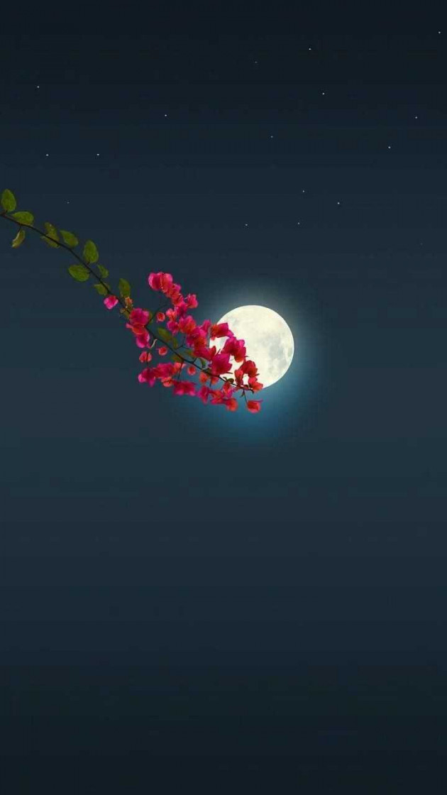 Hindi Shayri by Mayur CHAUDHARY : 111978942