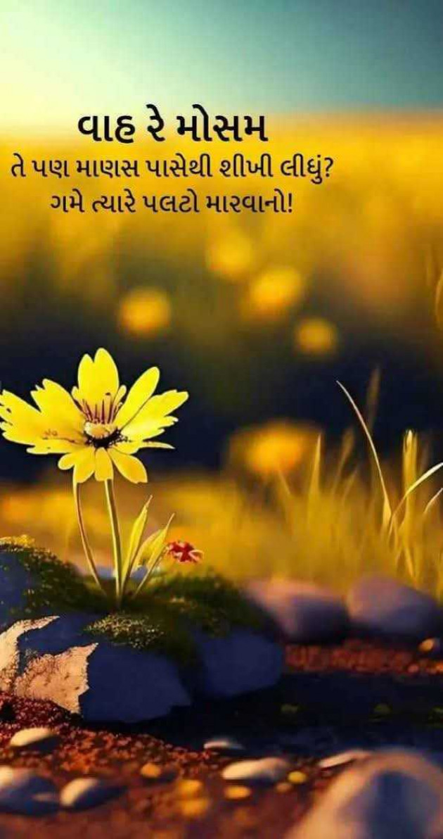 Gujarati Motivational by Manish Patel : 111978995