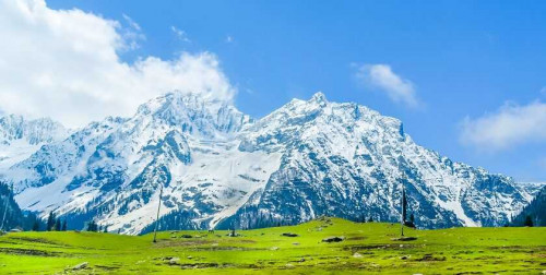 Post by Asmita Madhesiya on 15-May-2025 02:52pm