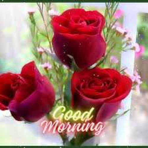 Post by kattupaya s on 16-May-2025 07:11am