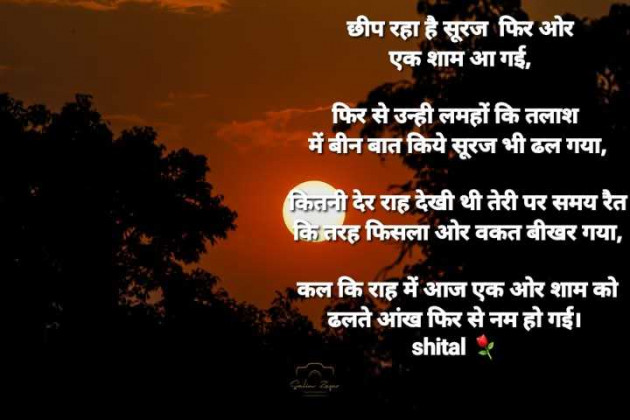 English Shayri by Shital : 111979242