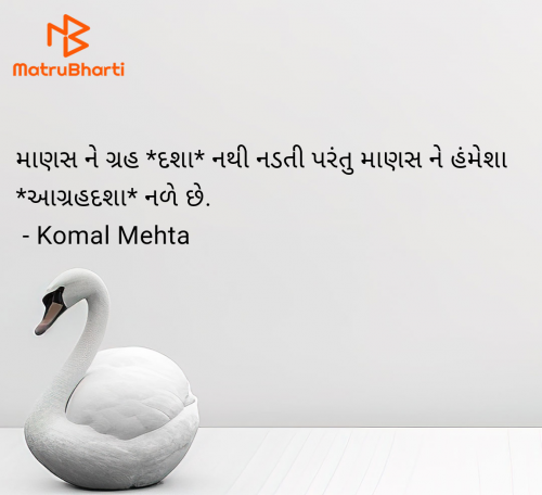 Post by Komal Mehta on 17-May-2025 06:37pm