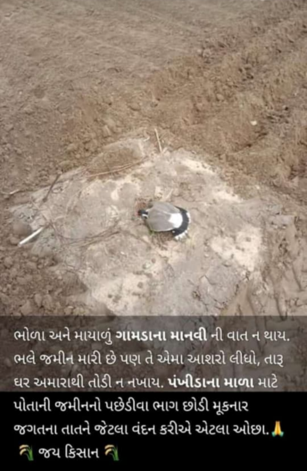 Gujarati Whatsapp-Status by Mr king : 111979512