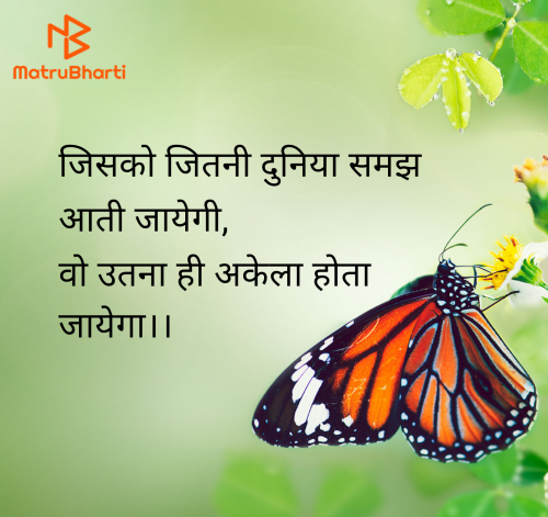 Post by Shweta Gupta on 20-May-2025 10:02pm
