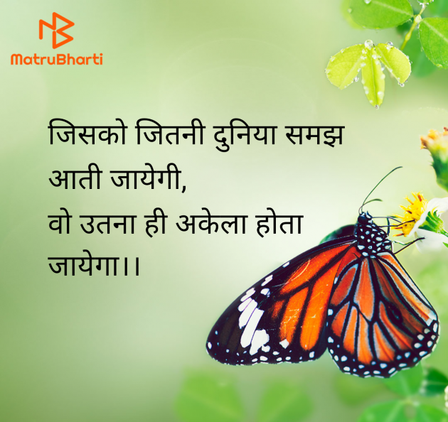 Hindi Whatsapp-Status by Shweta Gupta : 111979877