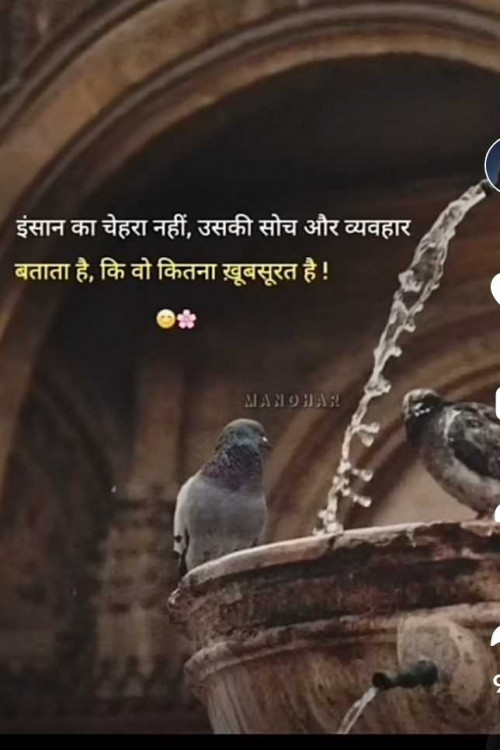 Post by Ana on 21-May-2025 10:03pm
