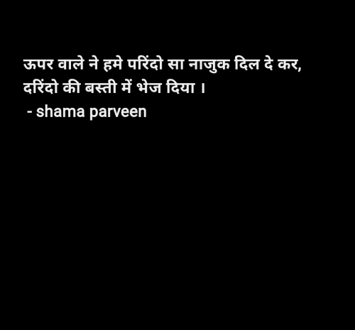 Post by shama parveen on 22-May-2025 10:14pm