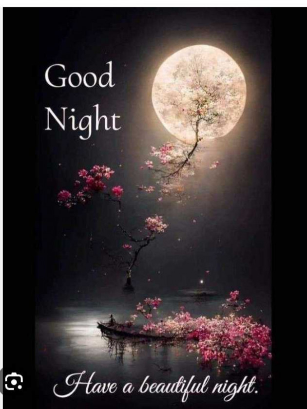 English Good Night by Gayatree : 111980139