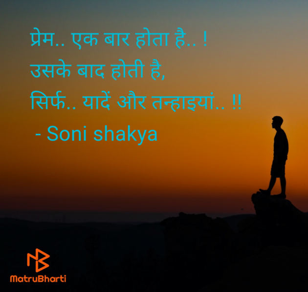 Hindi Blog by Soni shakya : 111980194