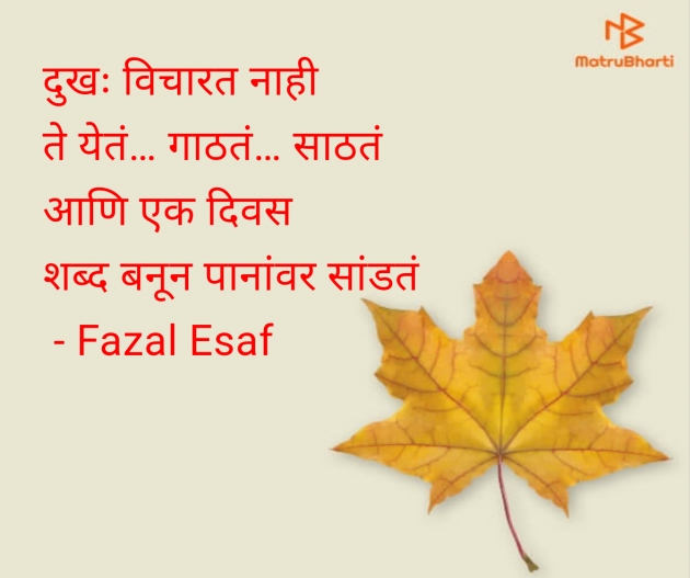 Marathi Shayri by Fazal Esaf : 111980262