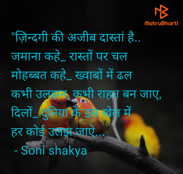 Hindi Blog by Soni shakya : 111980279