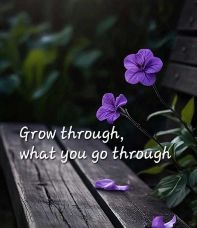 Gujarati Quotes by SWATI BHATT : 111980403