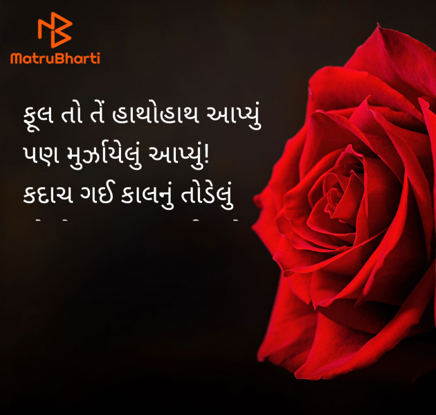 Gujarati Shayri by वात्सल्य : 111980566
