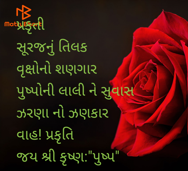 Gujarati Whatsapp-Status by Thakor Pushpaben Sorabji : 111980570