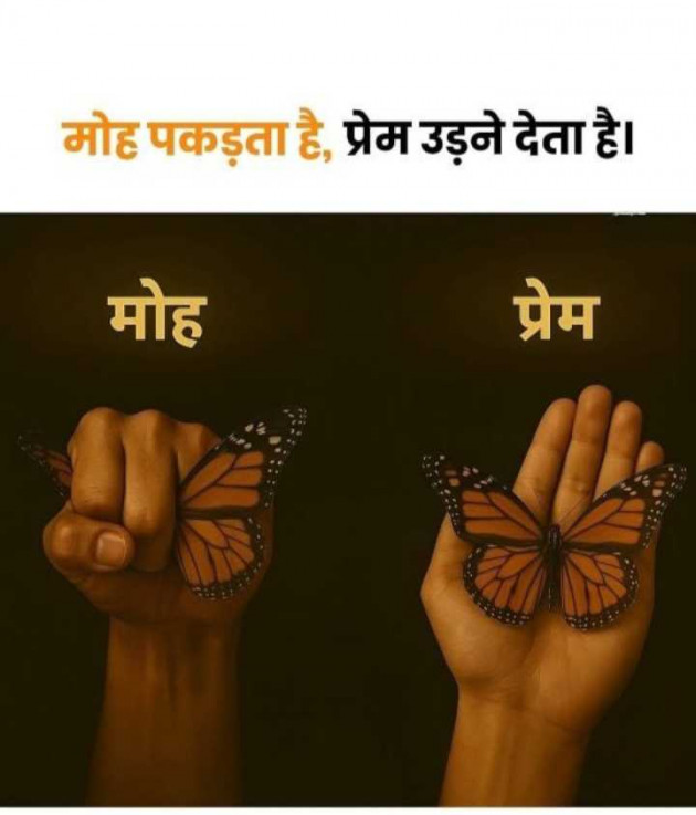 English Funny by Anjali : 111980634