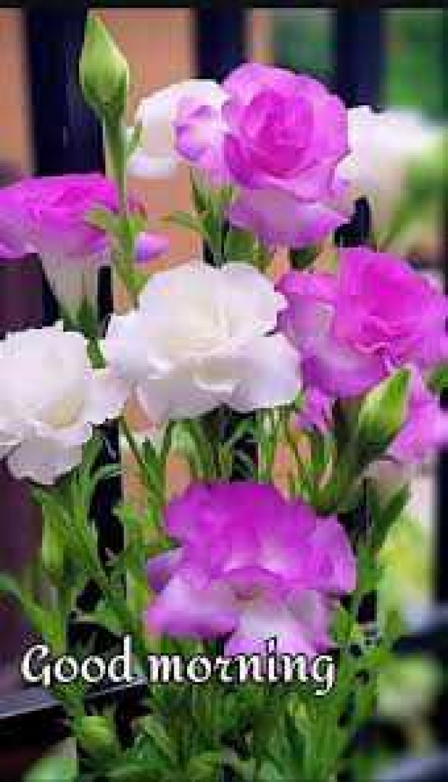 English Good Morning by kattupaya s : 111980819