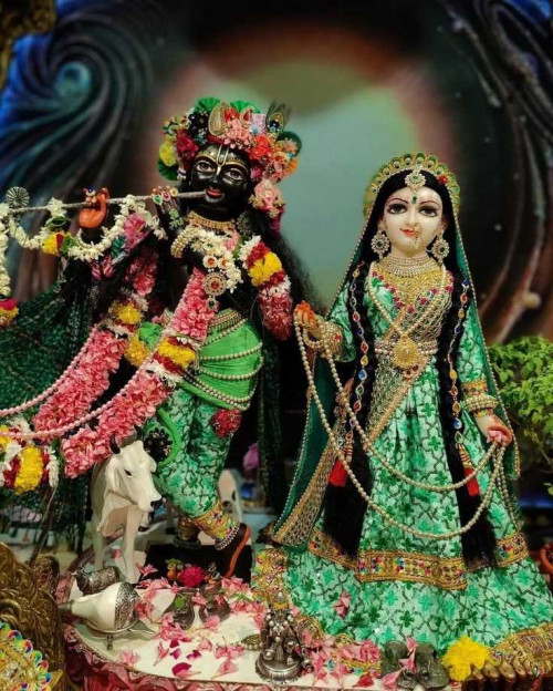 Post by puja on 31-May-2025 05:18am