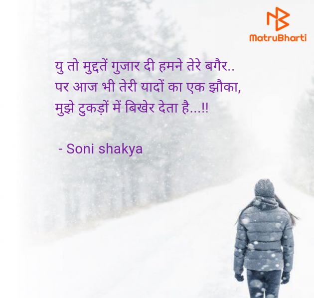 Hindi Blog by Soni shakya : 111981295