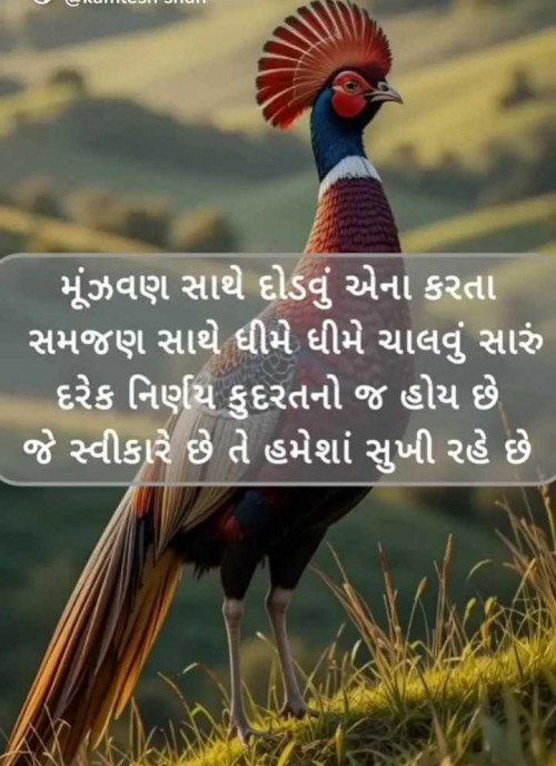 Post by jighnasa solanki on 03-Jun-2025 07:33pm