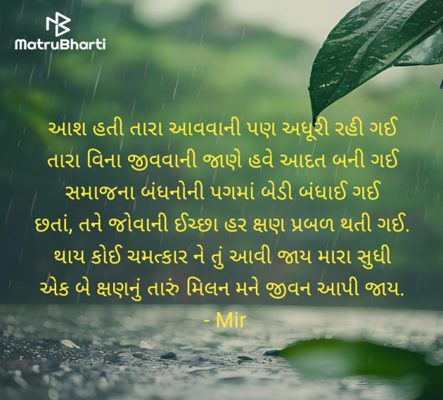 Gujarati Shayri by Mir : 111981769