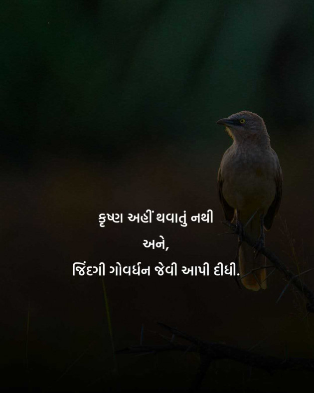 Gujarati Motivational by Manish Patel : 111982278
