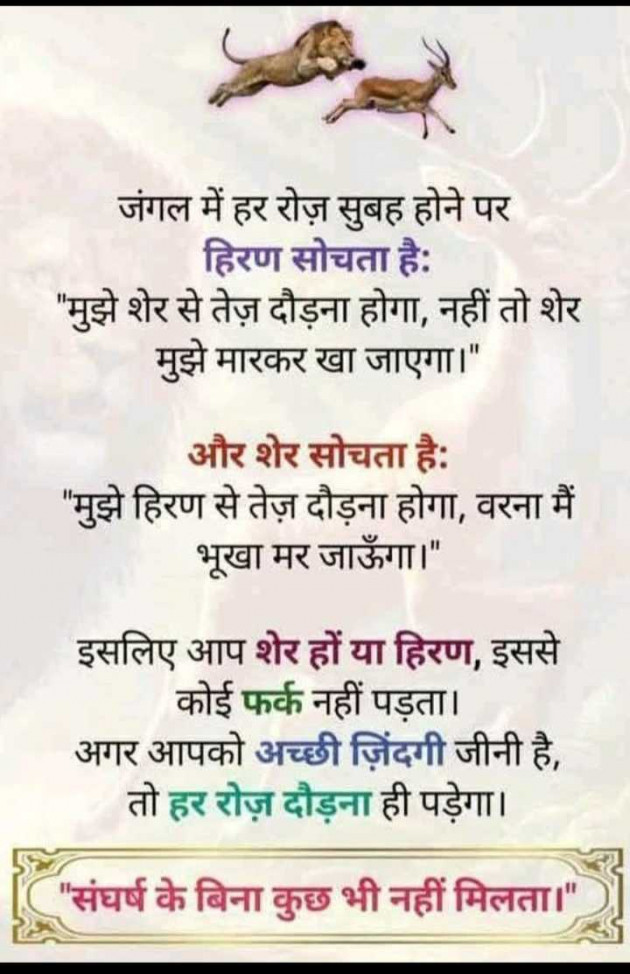 English Funny by Anjali : 111982375